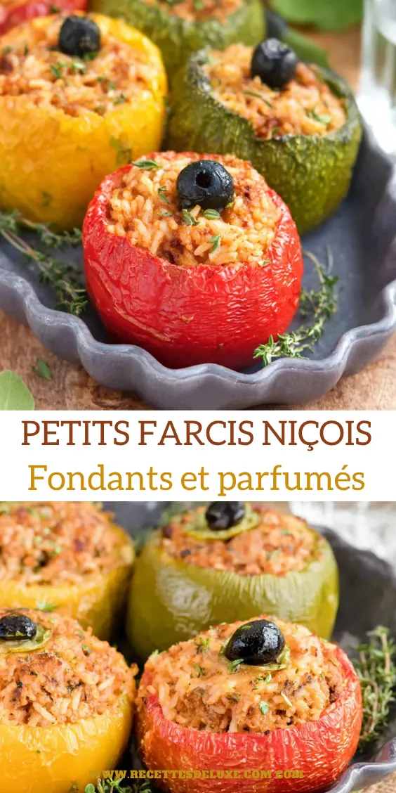 Petits farcis niçois vite faits, parfumés et fondants 6 Petits farcis niçois